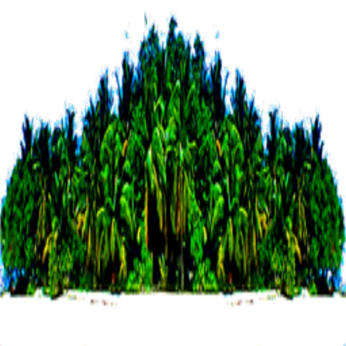 Palm trees beach background Roblox decal