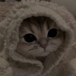 기백님의그룹