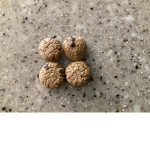 MicroCookie
