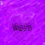 VRSES