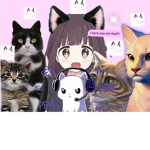 Kitty gamers forever