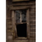 Hidden thoughts