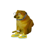 The drip boi’s