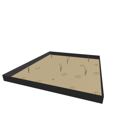Desert (Collect)