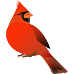 Cardinal Clothing®