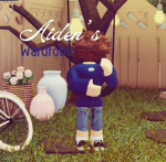 - aiden's wardrobe ::