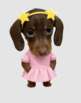 Cute Bundle UGC