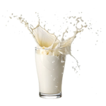 milkie factory
