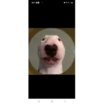 Noahmc13