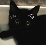 Kittzy luverzz