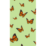 -My butterflies-