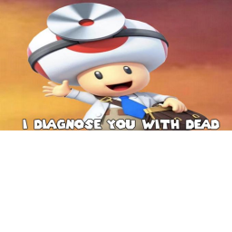 Toad's mushroom kingdom