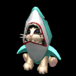 Kitten fan group!