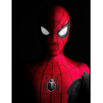 Spiderman group fans only