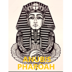 Xenephon Anubis XII