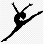 Dance company!
