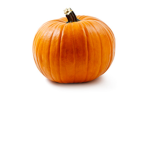 pumpkins look really cool
