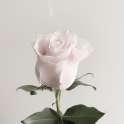 ꒰ ♡ ꒱