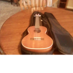 Boy or girl