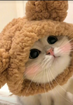 XxKittysxX