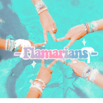 - Safari flamingos -