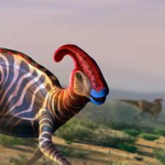 Dino Co