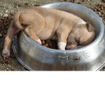 JOIN ME PLSSSSS