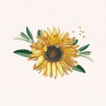 Onlysunflowers