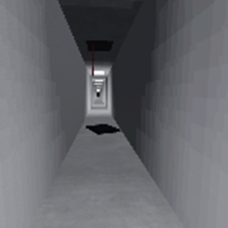The Walk to Nowhere