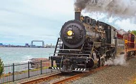 Free Drive Steam train