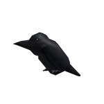 The Raven