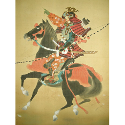 Akiyama BattleField