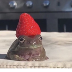lovely froggy‘s
