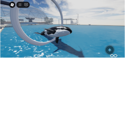 Rocky Shores Orca and Dolphin Stadium