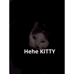 CAT LOV CLUB