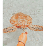 *:beach_vibes:*