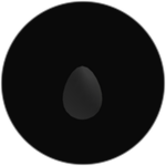 Invisible Egg