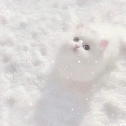 ♡