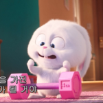 고래의 그룹