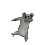 KoalaGames fan group