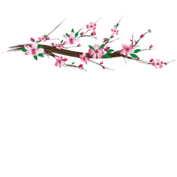 Japanese blossom hang out :D