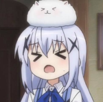 Alex rabbit fan group