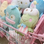 soft ୨୧