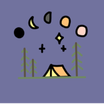 The Asthetic forest