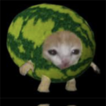 ThePerfectMelons