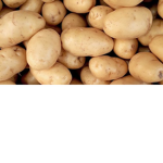 Potato Fangroup
