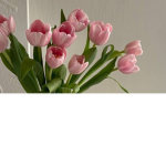Bloomer's