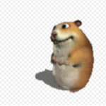 chomik fans