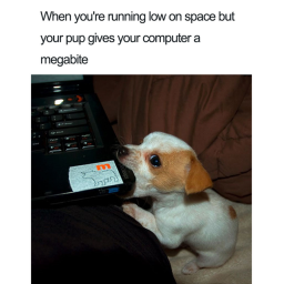 Tower Of HECK