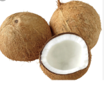 Coconut GROUP GAMES!